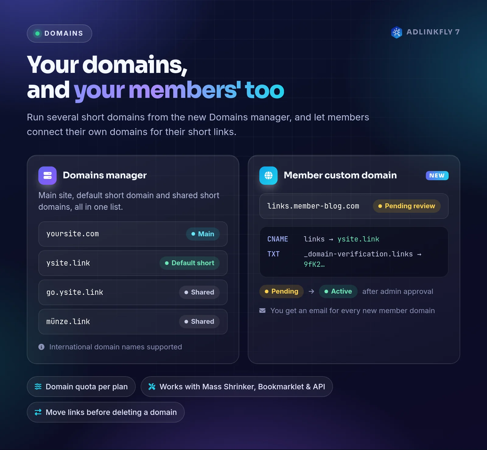 AdLinkFly domains manager and member custom domains